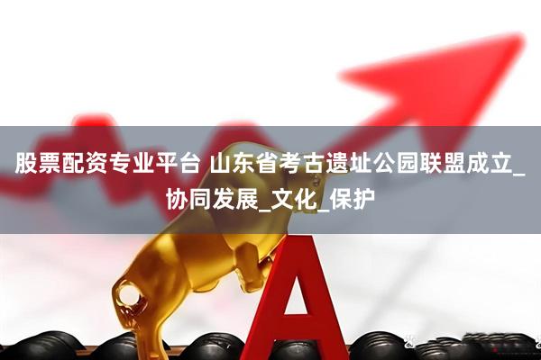 股票配资专业平台 山东省考古遗址公园联盟成立_协同发展_文化_保护