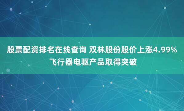 股票配资排名在线查询 双林股份股价上涨4.99% 飞行器电驱产品取得突破