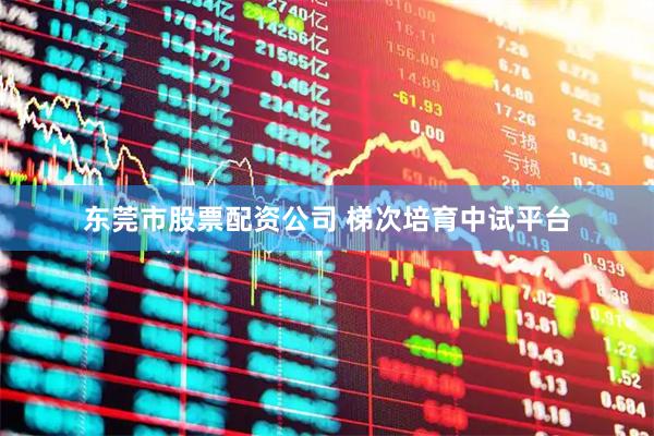东莞市股票配资公司 梯次培育中试平台