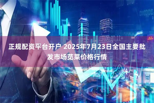 正规配资平台开户 2025年7月23日全国主要批发市场苋菜价格行情